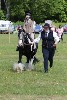thornton-le-dale-gala showclass7acharity25-5-20017
